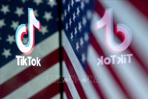 Tia hy vọng cho TikTok