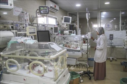 WHO phản ứng khi bệnh viện lớn ở Gaza ngừng hoạt động