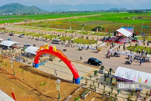 Bình Định: Nhiều điểm mới lễ hội Mai vàng dịp Tết 2025