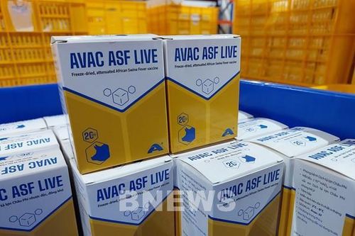 Việt Nam có thể sản xuất, phát triển các loại vaccine thú y hiện đại