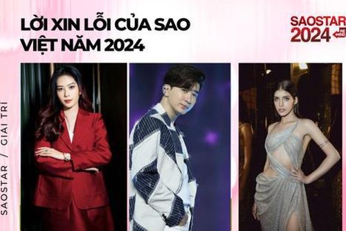 Những lời xin lỗi của sao Việt trong 2024