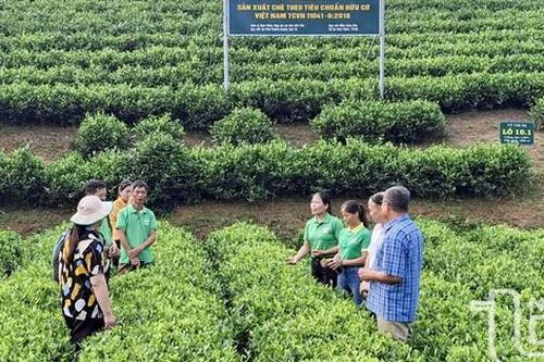 Phát triển Nông nghiệp xanh kết hợp làm du lịch ở Thái Nguyên: Hướng đi bền vững cho tương lai
