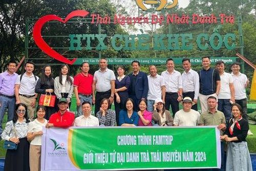 Thái Nguyên đẩy mạnh chuyển đổi số trong lĩnh vực du lịch