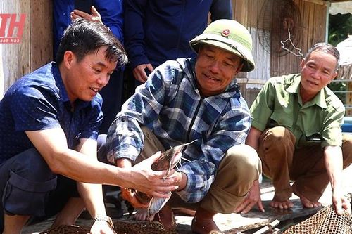 Quan Hóa chú trọng công tác điều động, luân chuyển cán bộ