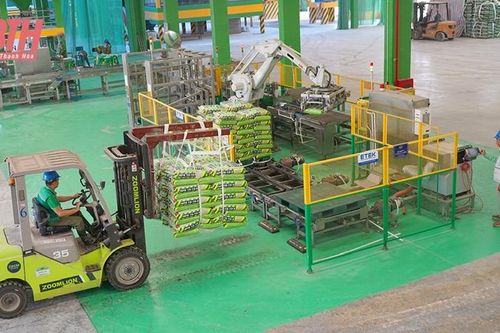 Sẵn sàng nguồn vật tư cho sản xuất vụ chiêm xuân