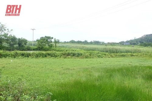 Cơ chế 'trói buộc' nông nghiệp - 'Xé rào' để đột phá (Bài 1): 'Bờ xôi ruộng mật' bỏ hoang khắp nơi
