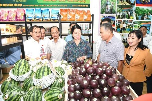 Đặc sản sạch cho thị trường