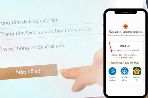 Nhiều tiện ích từ việc nộp hồ sơ hưởng trợ cấp thất nghiệp trực tuyến