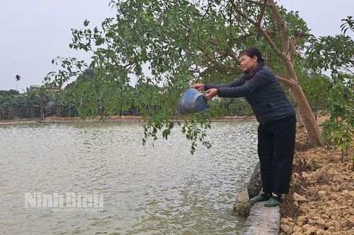 Lan tỏa những tấm gương phụ nữ làm theo Bác