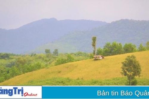 Mấy mùa Ada Koonh