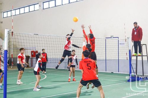 100 sinh viên tham dự giải bóng chuyền hơi