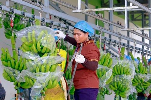 Hoàng Anh Gia Lai (HAG) thanh toán 200 tỷ đồng trái phiếu, muốn 'sạch nợ' vào năm 2026