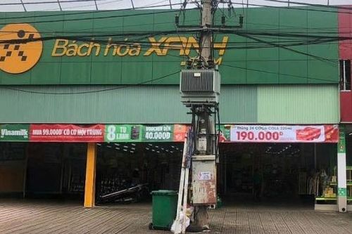 Bách hóa Xanh ngừng bán giá đỗ 'bẩn', kiểm nghiệm tất cả sản phẩm giá đỗ