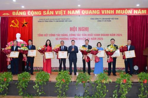 Tổng Công ty Lâm nghiệp Việt Nam hoạt động hiệu quả, vững bước tiến vào kỷ nguyên mới