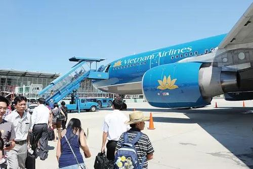 Năm 2024, Vietnam Airlines vận chuyển 22,7 triệu lượt hành khách