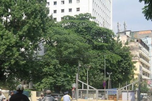 Điều chỉnh giao thông trên phố Quốc Tử Giám phục vụ thi công đường sắt đô thị