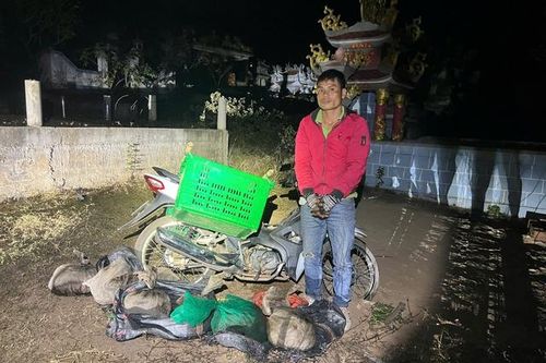 Bắt quả tang đối tượng vận chuyển động vật quý hiếm