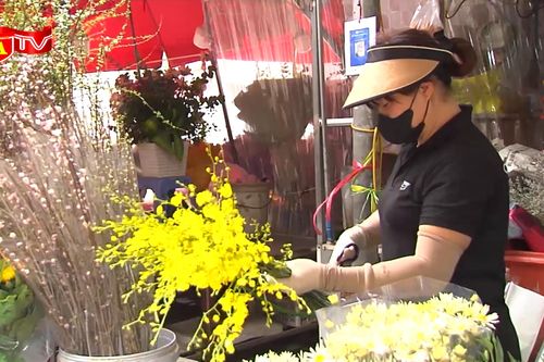 Không khí đón Tết đang đến gần chợ hoa Quảng An