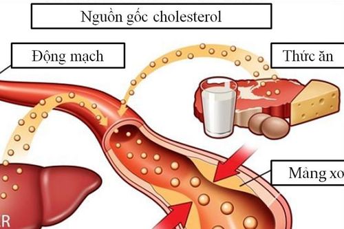Y học cổ truyền trong điều trị rối loạn lipid máu