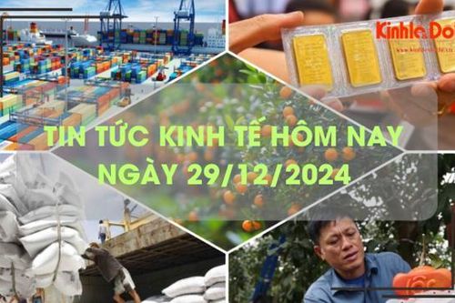 Tin tức kinh tế 29/12: bưởi đỏ tiến vua 'cháy hàng'