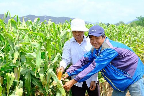 Đổi thay từ phát triển thủy lợi