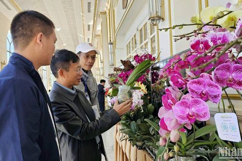 Lâm Đồng định hướng phát triển ngành hoa bền vững với chuỗi giá trị hội nhập quốc tế