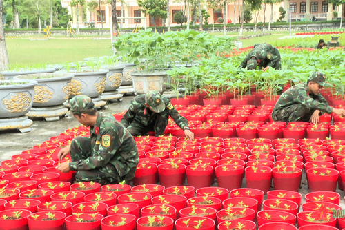 Bộ đội Quân khu 9 'ươm những mầm xuân'