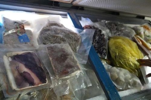 Bình Thuận: Thu giữ hàng trăm kg trứng gà non, vú heo, gân bò bốc mùi hôi thối