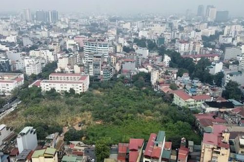 Cỏ dại mọc um tùm như 'rừng' trong khu đất vàng Hà Nội loại bỏ chức năng nhà ở