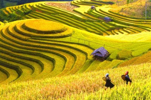Đại diện duy nhất của Việt Nam lọt top điểm đến đẹp nhất thế giới