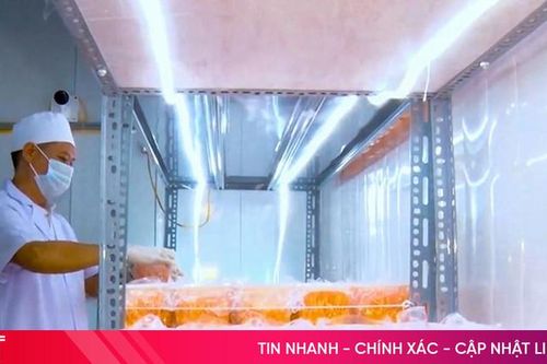 Xem quy trình nuôi cấy đông trùng hạ thảo đạt OCOP 4 sao ở Hà Tĩnh