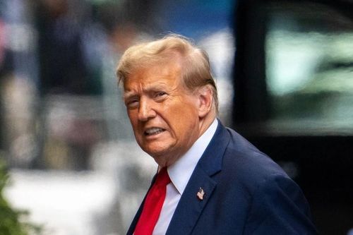Ông Trump ủng hộ Elon Musk trong tranh cãi nội bộ cánh hữu về thị thực lao động