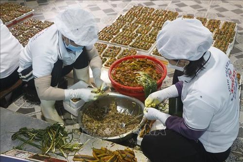 Thủ phủ lươn nổi tiếng xứ Nghệ vào vụ Tết