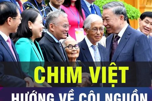 Đón xem Chuyển động kinh tế - Góc nhìn chuyên gia, 6 giờ 30 ngày 30-12