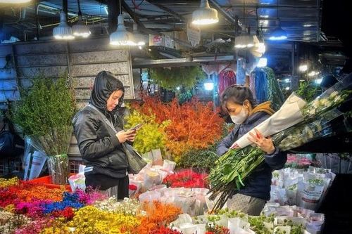 Đêm chợ hoa Quảng An những ngày cận Tết 2025