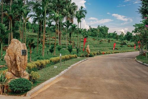 Độc đáo những cung đường mang tên các loài 'hoa' ở LAMORI