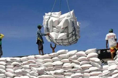 Giá gạo xuất khẩu Ấn Độ chạm đáy trong 17 tháng