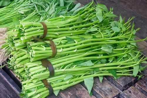 Những loại rau chỉ cần cắm xuống đất là lớn