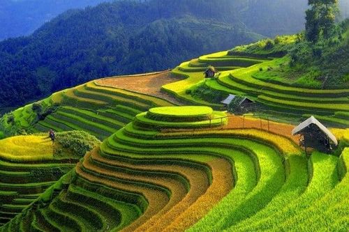 Chữ cái duy nhất không xuất hiện trong tên các tỉnh thành Việt Nam?