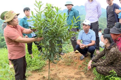 Điện Biên chú trọng tư vấn, đào tạo nghề gắn với việc làm theo nhu cầu thị trường lao động
