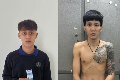 Bắt 2 đối tượng chiếm đoạt tài sản của Việt kiều