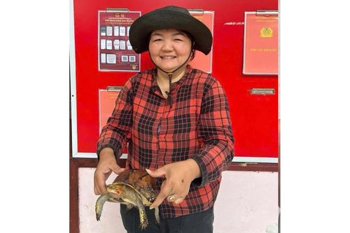 'Giải cứu' động vật hoang dã