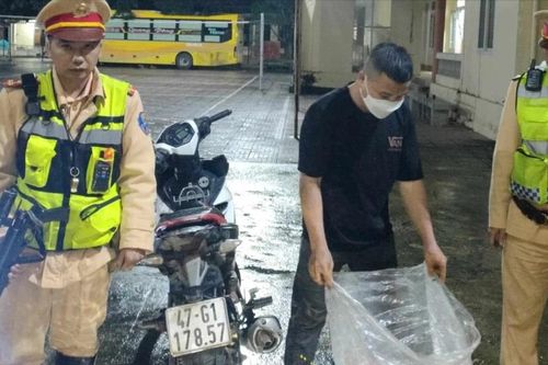 Phát hiện đối tượng mang súng săn, chở 3 cá thể khỉ đi tiêu thụ