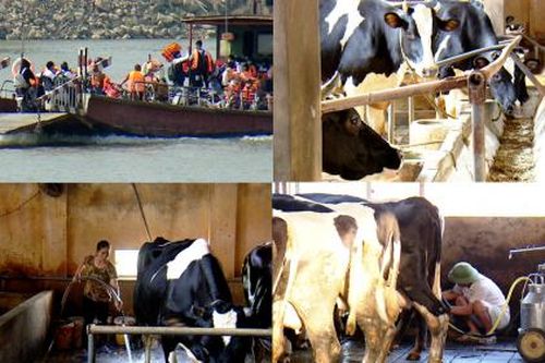 Đổi thay cuộc sống xã đảo duy nhất của Thủ đô