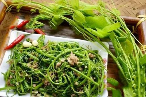 Loại rau có tên 'bốc mùi' nhưng là đặc sản miền núi khiến nhiều người phát thèm