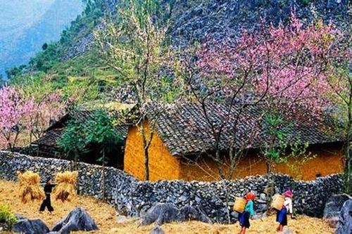 Khám phá vẻ đẹp cao nguyên đá Hà Giang