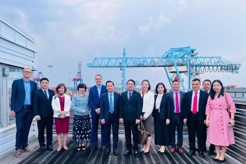 Thương mại Việt Nam – Thụy Điển tăng trưởng 11,8%