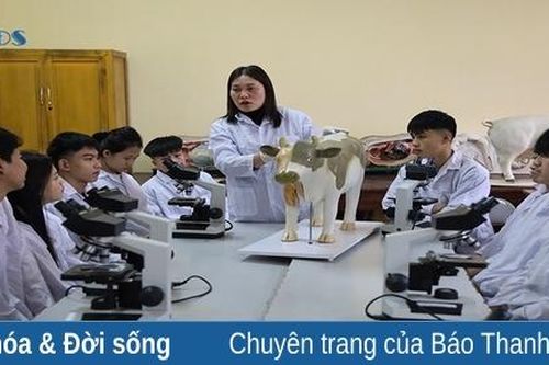 Đào tạo nghề gắn với giải quyết việc làm
