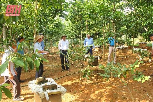 Cơ chế 'trói buộc' nông nghiệp - 'Xé rào' để đột phá (Bài cuối): Cần 'xé rào'