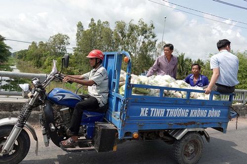 Huyện Phú Tân học tập theo Bác